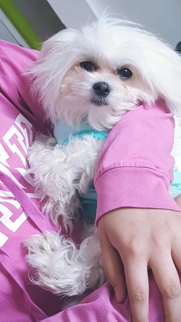 /Images/uploads/Humane Society of Utah/HSU2018/entries/4226thumb.jpg